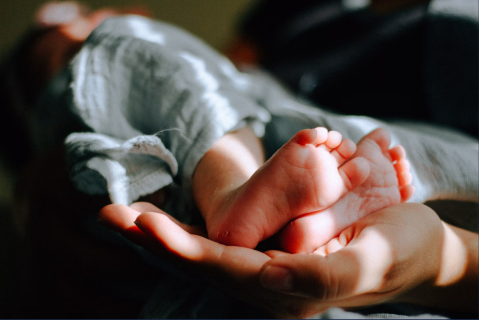 A newborn baby resting safely in caring hands